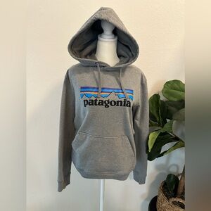 Patagonia Gray Sweatshirt Women’s size Small